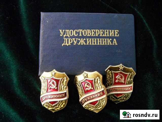 Знак Дружинник Екатеринбург - изображение 1