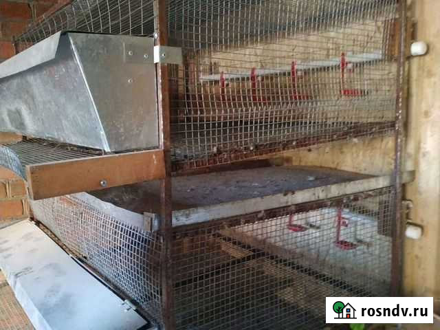 Сетка,клетка,рабица Приморка - изображение 1