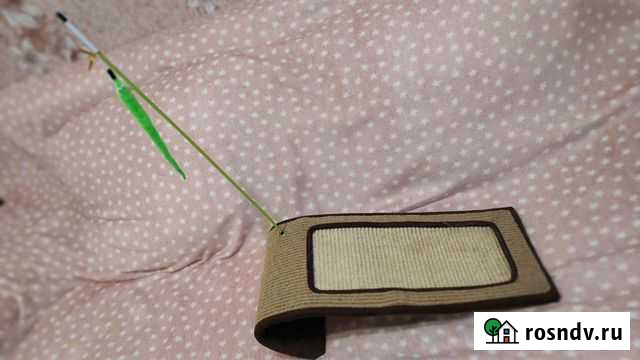 Когтеточка Ростов - изображение 1