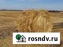 Солома, сено в рулонах Мирный - изображение 1