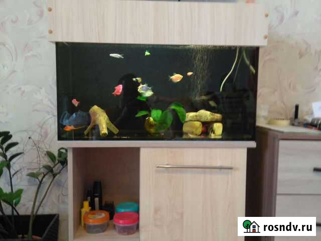 Аквариум Шадринск - изображение 1