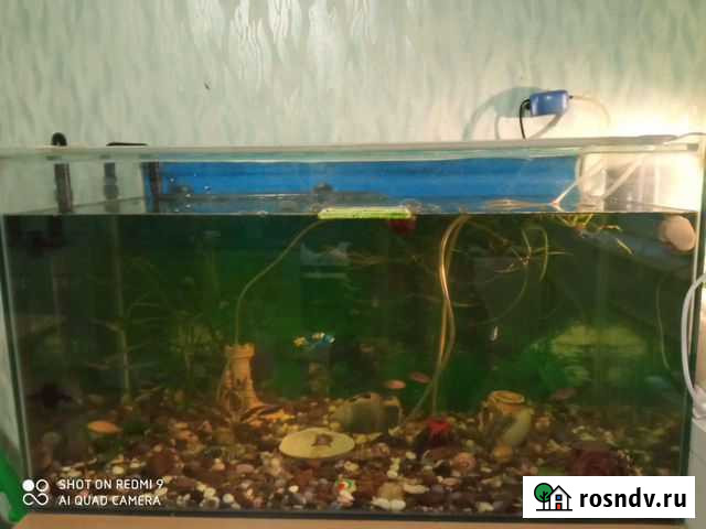 Аквариум 150 литров Чита - изображение 1