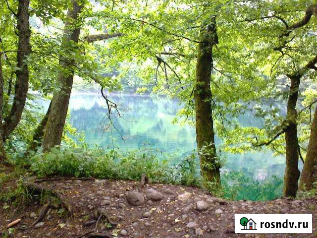 Участок СНТ, ДНП 1 сот. на продажу в Северске Северск - изображение 1