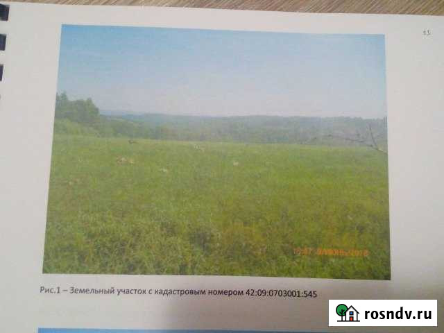 Участок СНТ, ДНП 840 сот. на продажу в Чистогорском Чистогорский - изображение 1