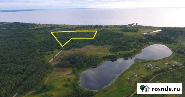 Участок СНТ, ДНП 420 сот. на продажу в Гдове Гдов - изображение 1