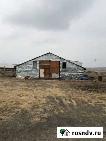 Животноводческая ферма Углеродовский - изображение 1