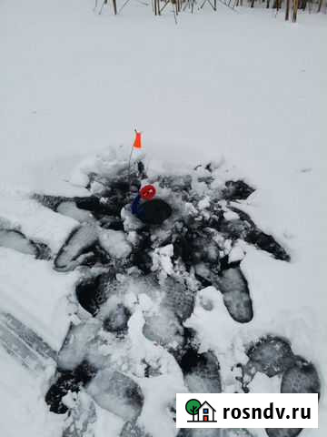 Живец Алексеевка - изображение 1