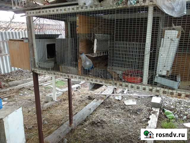 Клетка для кролика Кущевская - изображение 1