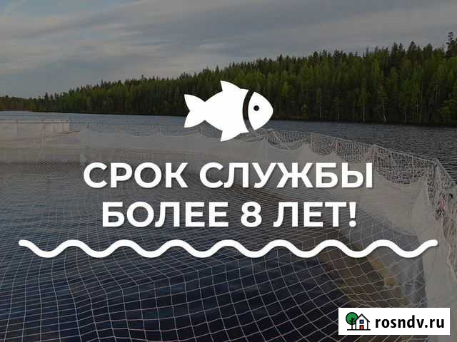 Садок для выращивания осетра Барабинск - изображение 1