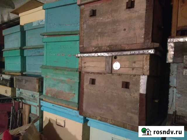 Ульи Балаково - изображение 1