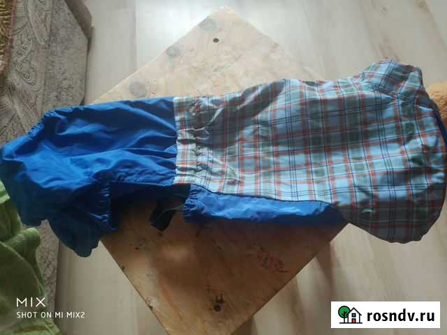 Комбинезон для собаки Октябрьский - изображение 1