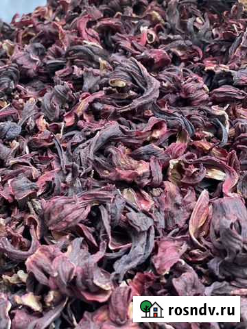 Гибискус Симоненко - изображение 1