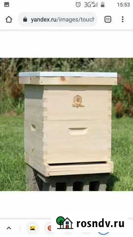 Пчелы с ульями Дюртюли - изображение 1