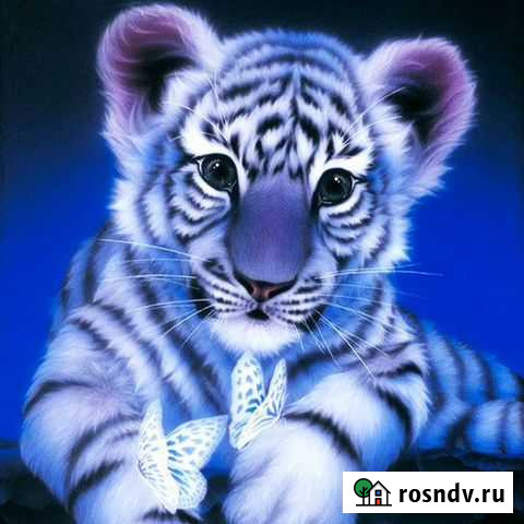 Картины алмазки 20х20 Челябинск - изображение 1