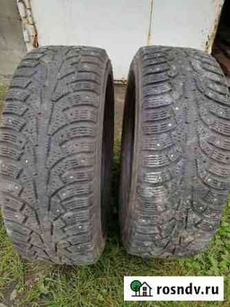 Nokian 205/60 R16, 2 шт Бийск