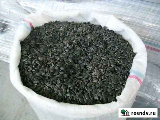 Семечки Реж - изображение 1