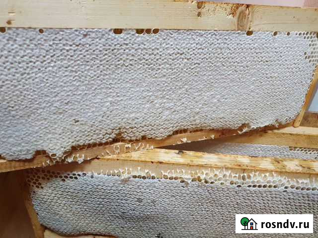 Медовая продукция Пермь - изображение 1