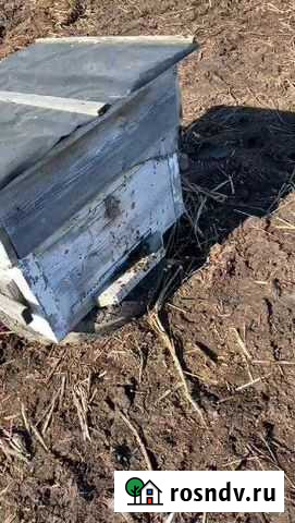 Улья б/у Томск - изображение 1