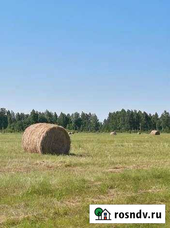 Сено Иланский - изображение 1