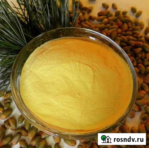 Пыльца сосны опт Симоненко - изображение 1