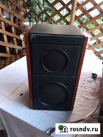 Колонка и виниловый проигрыватель Галич - изображение 1