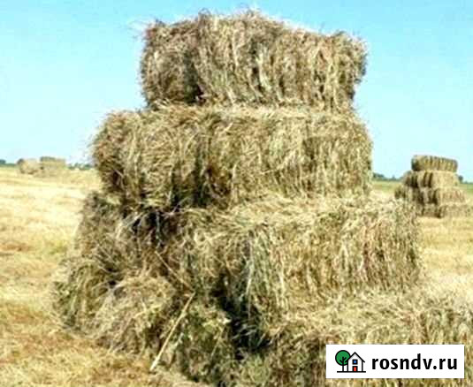 Сено луговое разнотравие Воскресенск - изображение 1