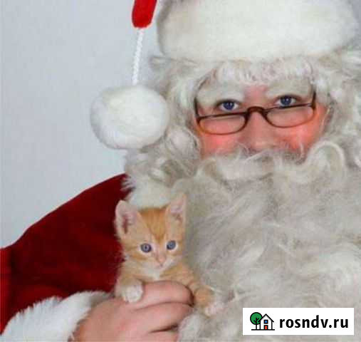 Аренда костюмов Балаково - изображение 1