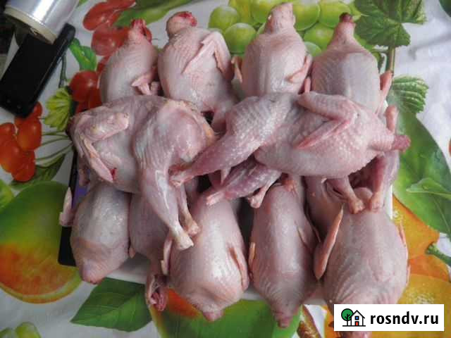 Мясо молодых перепелов Тольятти - изображение 1