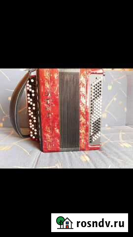 Баян, торг Воткинск - изображение 1