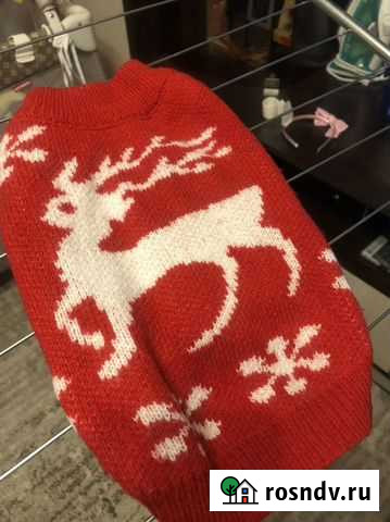 Свитер для собаки Ярославль - изображение 1