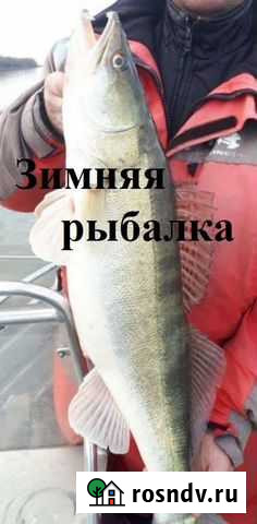 Рыбалка на Ахтубе в Харабалях в Гремучем Харабали - изображение 1