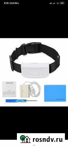 GPS трекер для для всех домашних животных Хасавюрт - изображение 1