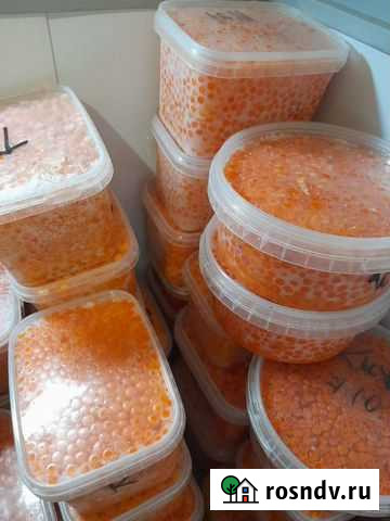 Икра красная 2021 Петропавловск-Камчатский - изображение 1