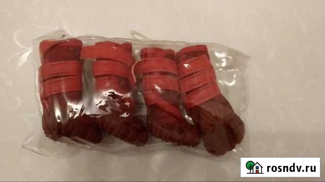 Сапоги для собаки мелкой породы Тольятти - изображение 1