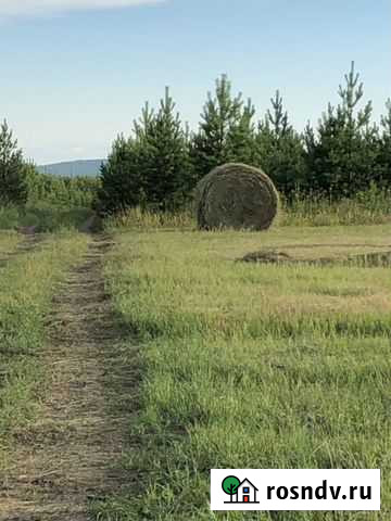 Сено Усть-Илимск - изображение 1