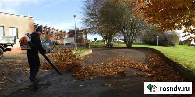 Ветродуйка, воздуходувка, сдуватель листвы аренда Калининград - изображение 1