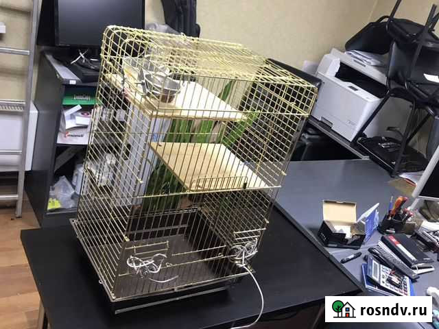 Клетка Балашиха - изображение 1