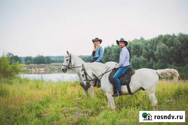 Фотосессии с лошадьми Владимир - изображение 1