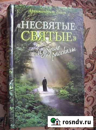 Книга Не святые святые Каменск-Шахтинский - изображение 1