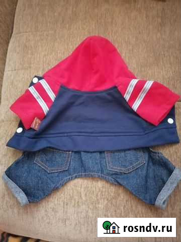 Одежда для собак мелких пород Оренбург - изображение 1