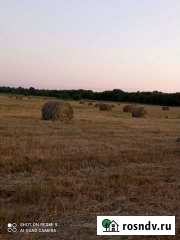Сено луговое в рулонах Лесной - изображение 1