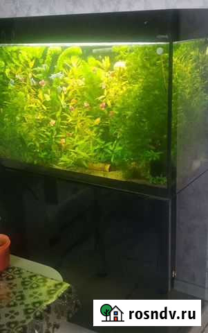 Аквариум с тумбой бу Апатиты - изображение 1