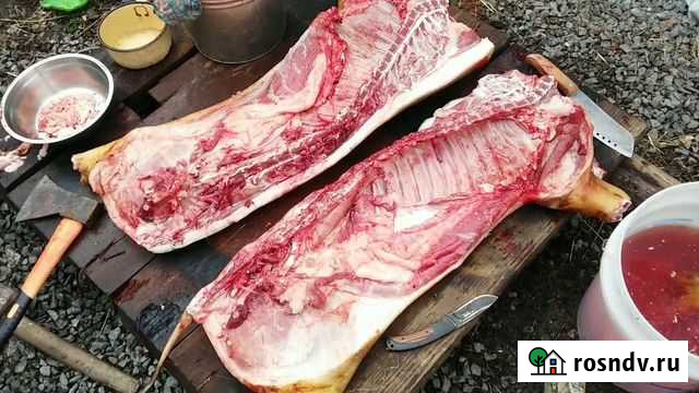 Мясо вьетнамских поросят Старый Оскол - изображение 1