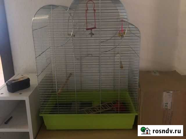 Клетка Пушкино - изображение 1