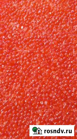 Красная икра горбуши Искитим - изображение 1