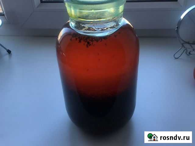 Облепиховое масло Рубцовск - изображение 1