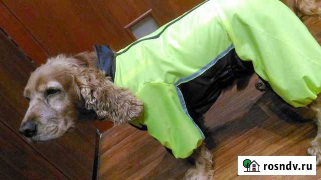 Одежда для собак Великий Новгород - изображение 1