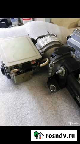 Эур калина Звездный - изображение 1