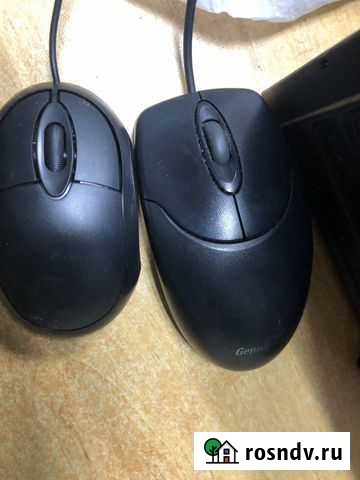 Мышь Ухта - изображение 1