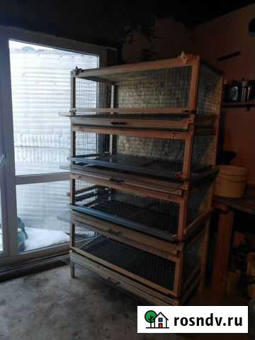 Клетки для перепелок Бузулук - изображение 1